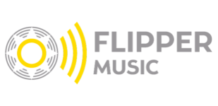 Flipper logo oriz grey
